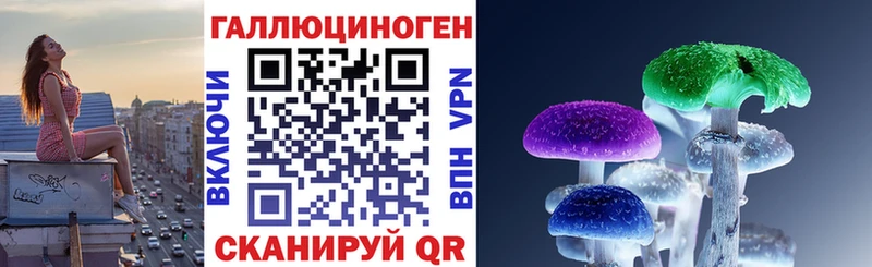 Псилоцибиновые грибы Cubensis  Чита 