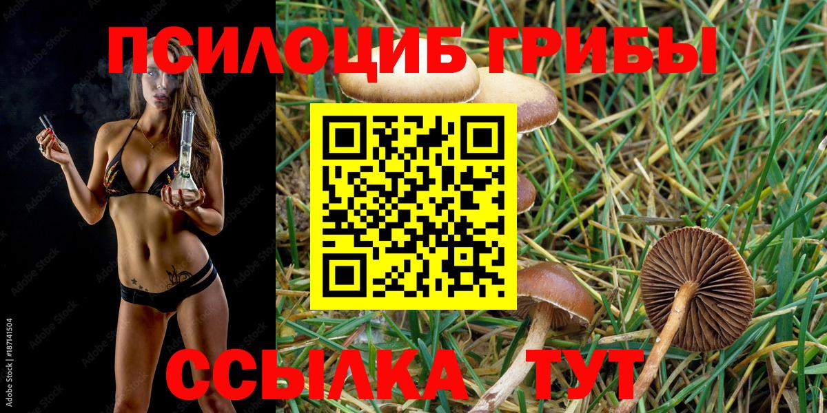 Галлюциногенные грибы Magic Shrooms Чита
