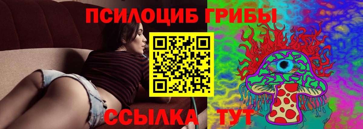 Чита  Псилоцибиновые грибы прущие грибы  Вход с VPN 