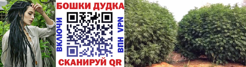 хочу   Чита  blacksprut рабочий сайт  Марихуана конопля 